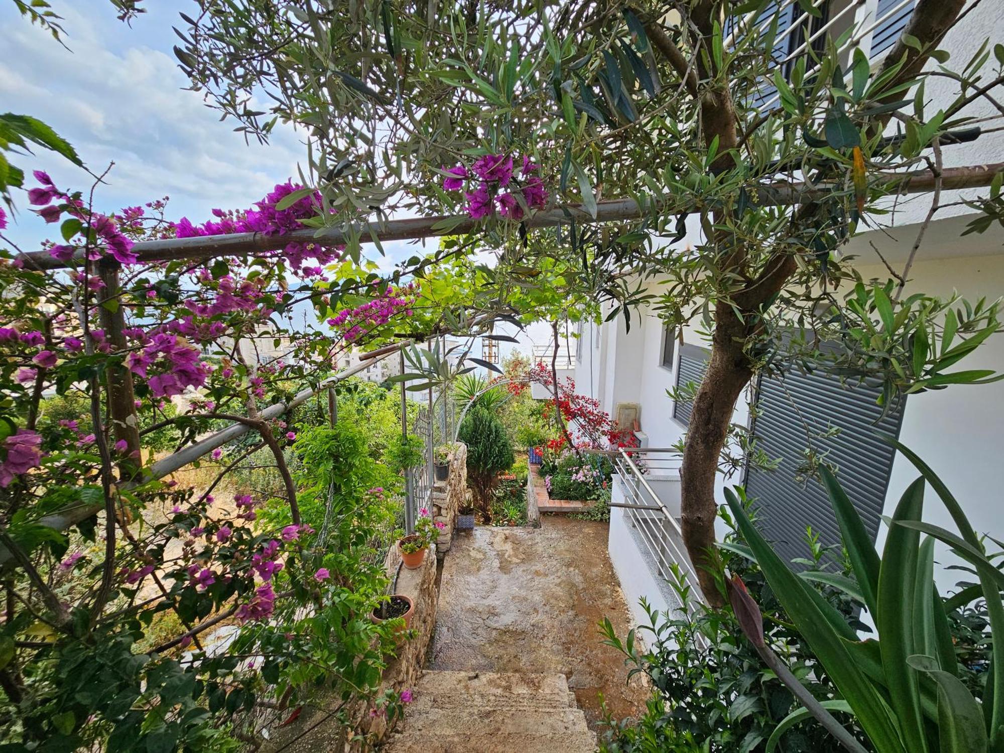 Nora'S Guesthouse Saranda Dış mekan fotoğraf