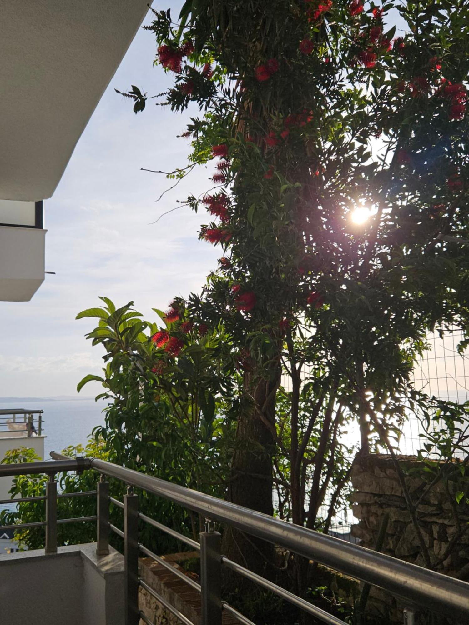 Nora'S Guesthouse Saranda Dış mekan fotoğraf